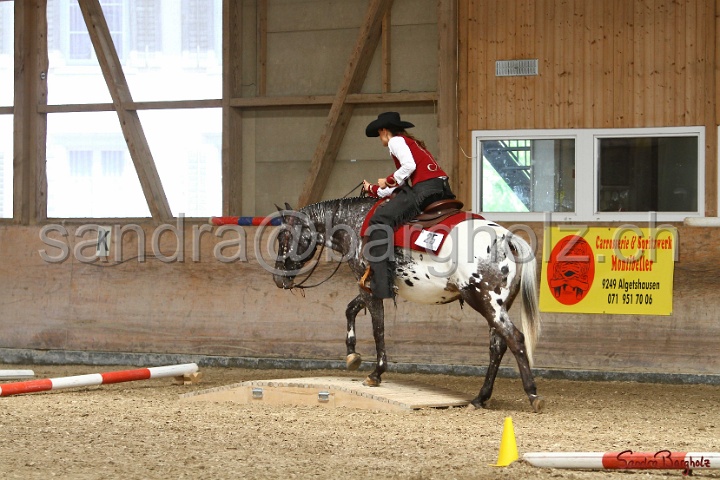 28-ApHC OT_281.jpg